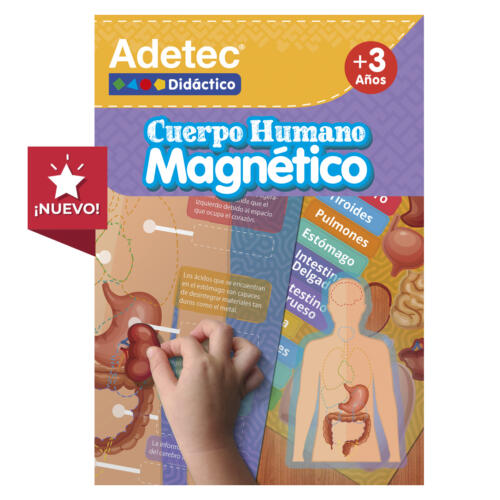 Láminas magnéticas cuerpo humano