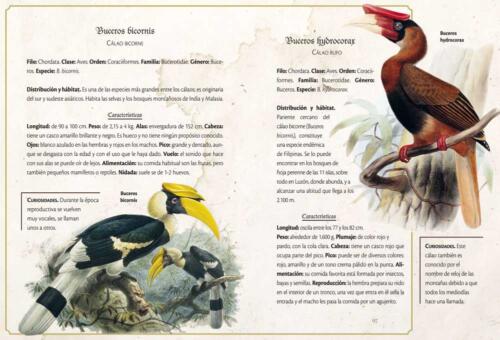 Animalario selecto (Obras singulares) - Imagen 4