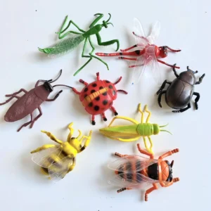 Set Insectos