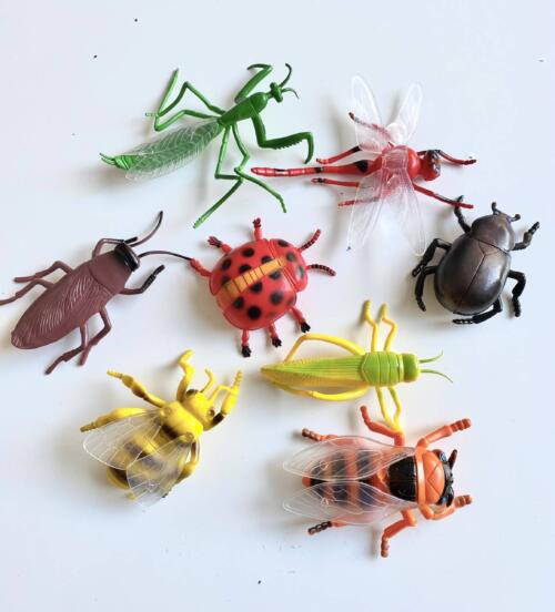 Set Insectos