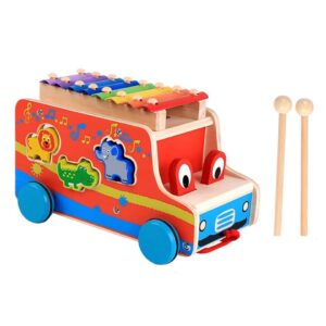 Carro Safari