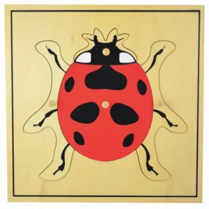 Puzzle Montessori Chinita
