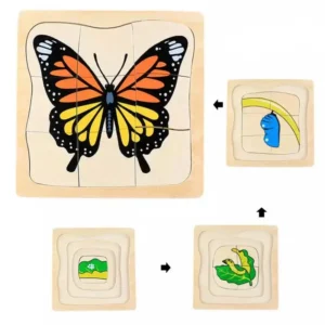 Puzzle secuencia mariposa