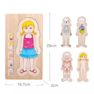 Rompecabezas cuerpo humano niña