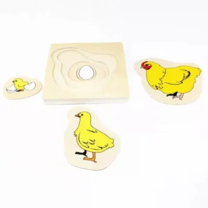 Puzzle secuencia Gallina