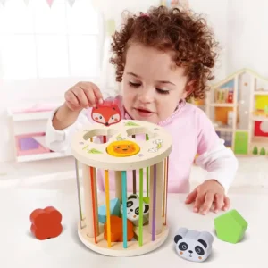 Cilindro elásticos encaje