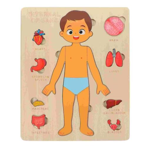 Puzzle cuerpo humano niño - Imagen 2