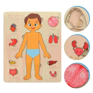 Puzzle cuerpo humano niño