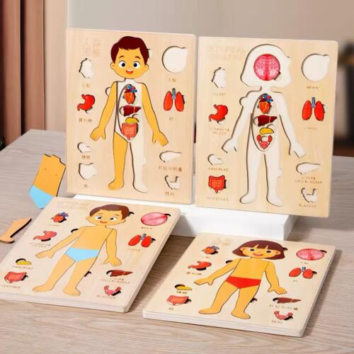 Puzzle cuerpo humano niño - Imagen 3