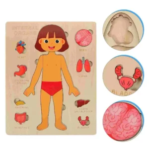 Puzzle encaje cuerpo humano niña