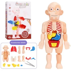 Cuerpo humano pinzas